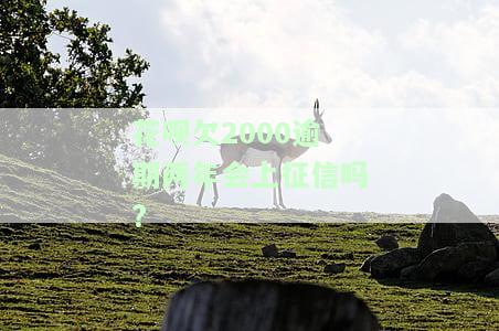 花呗两千逾期二年会上会院会收律师费吗，花呗逾期两年，需支付律师费用吗？
