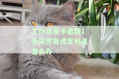 工行的信用卡逾期一天的违约金是多少，了解工行信用卡逾期一天的违约金是多少