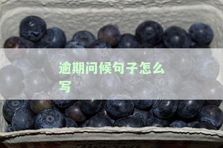 逾期问候句子怎么写的，教你如何优雅地写出逾期问候句子