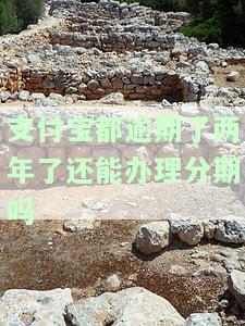 支付宝逾期2年还款，能否免除逾期费用？