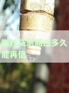 微粒贷逾期后多久能再次借款？影响因素解析