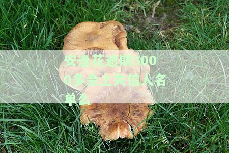 欠安逸花3000未还逾期，可能被起诉，是否会坐牢？