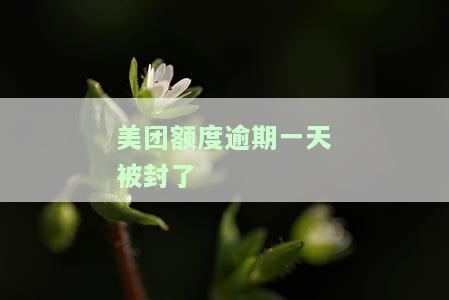 美团逾期后还款，额度会恢复吗？