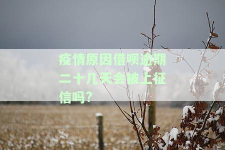 疫情原因借呗逾期二十几天会否被上征信？知乎探讨
