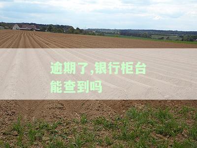 逾期了,银行柜台能查到吗？安全吗？真的吗？