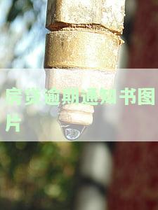 房贷逾期通知书图片-房贷逾期通知书图片大全