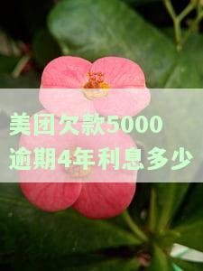 美团欠5000逾期三个月，会否被起诉？已逾期两个月，该如何应对？