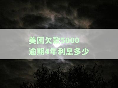 美团逾期利息是多少，了解美团贷款逾期的代价：利息计算方式解析