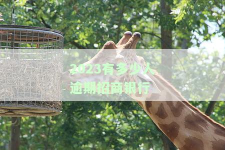 2023年招商银行贷款逾期人数及可能影响额度的情况
