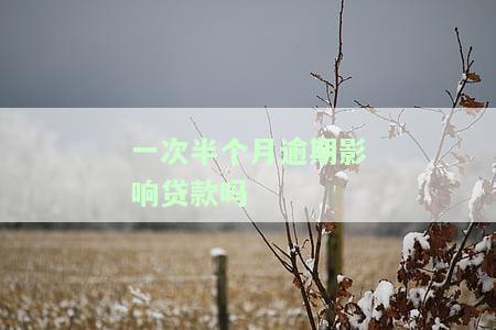 一次半个月逾期影响贷款吗