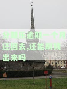 分期乐逾期一个月还清后能否再次借款？