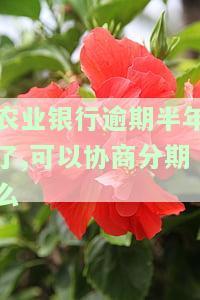 农业银行逾期半年了,可以协商分期么