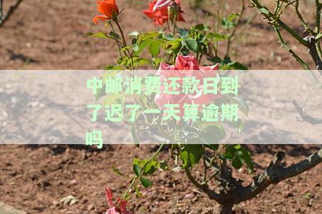 中邮消费还款日到了了一天算逾期吗？会有何影响？中邮消费还款日当天最晚几点还款？晚一天还款会怎样？