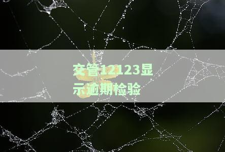 交管12123显示逾期检验暂扣含义及解决方法