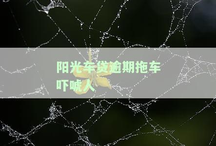 阳光车贷逾期拖车吓唬人是否犯法？