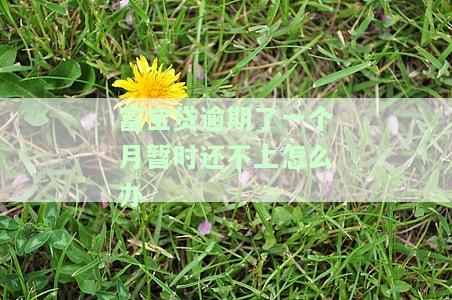 富宝贷逾期一个月后还款，能否继续借款？解决方案