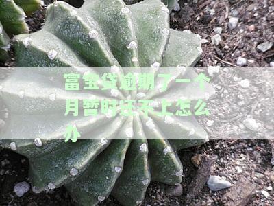 富宝贷逾期了一个月暂时还不上怎么办