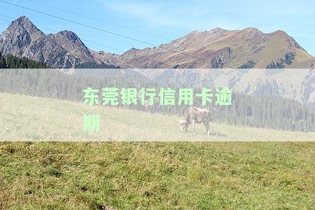 东莞银行信用卡逾期4个月怎么办，信用卡逾期4个月，如何解决东莞银行的欠款问题？