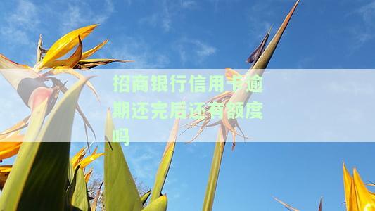 招商银行信用卡逾期：全额还款是否必要？逾期5天会否影响征信？