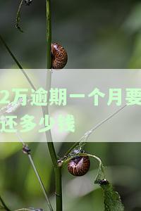 2万块钱逾期一个月该还多少钱，逾期一个月，2万元需要偿还多少？