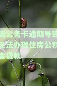 因公务卡逾期导致无法办理住房公积金贷款业务，将影响个人及单位房贷申请