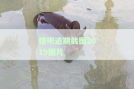 借呗逾期后截图：清晰展示逾期情况及影响