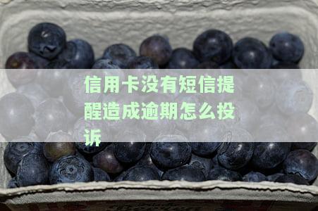 信用卡没有短信提醒造成逾期，如何投诉？拨打电话解决问题！