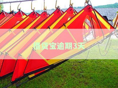 借贷宝逾期几天还了还会有逾期记录么，逾期还款几天后，借贷宝的逾期记录会消失吗？