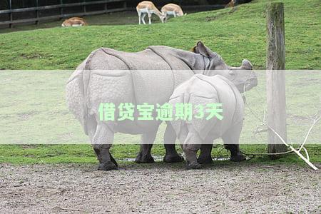 借贷宝逾期多久会通知紧急联系人？2021最新规定