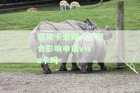 信用卡逾期一个月会影响申请Visa卡吗？知乎上有人问