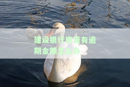 建设银行房贷有逾期金额怎么办