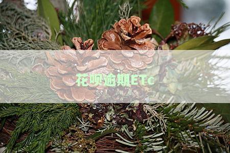 花呗逾期ETc-花呗逾期暂时无力还款应该怎么解决