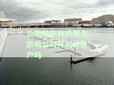 公司股东有逾期贷款会影响公司吗，逾期贷款：公司股东的财务问题可能如何影响公司？