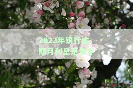 2023年银行逾期月利息是多少