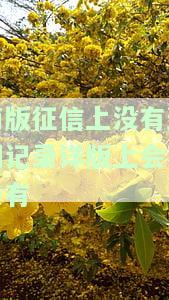 简易版的征信会记录没有逾期的贷款吗，简易版征信是否记录未逾期贷款？