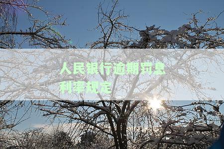 人民银行逾期贷款罚息利率规定：最新详情解读