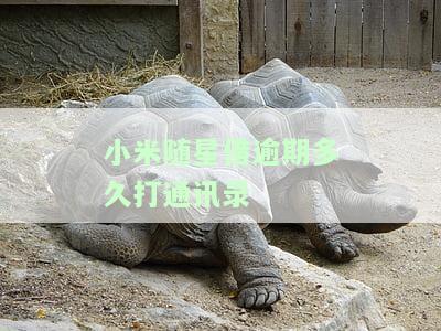 小米随星借逾期90天以上是否算作逾期？