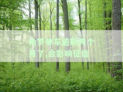 哈喽单车逾期付款会影响信用卡信用吗，哈喽单车逾期未付是否会对信用卡信用产生影响？