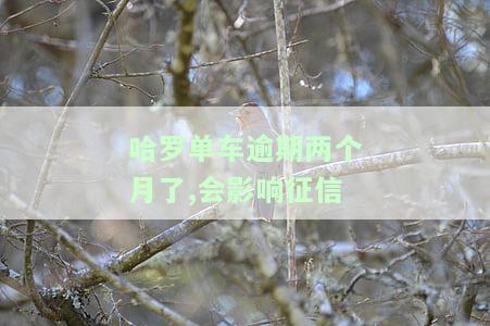 哈罗单车逾期了,支付宝怎么办？解决办法全攻略