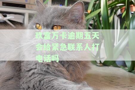 玖富万卡逾期五天会给紧急联系人打电话吗安全吗，玖富万卡逾期五天是否会通知紧急联系人？平台安全性如何保障？