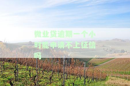 微业贷逾期一个小时能否申请不上征信？