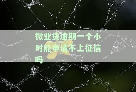 微业贷逾期一天会上征信吗，微业贷逾期一天会否影响个人征信记录？