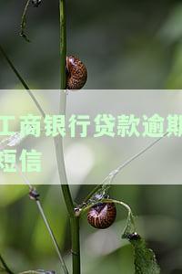 工商银行贷款逾期短信通知，重要提醒：工商银行贷款逾期，将发送短信通知