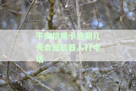 平安信用卡逾期几天会是机器人打电话催收吗，平安信用卡逾期多久才会由机器人进行催收?