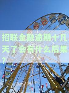 招联金融逾期十天，是否会全额还款？