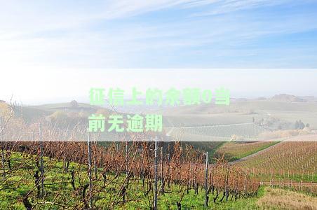 征信报告显示余额0：全解析未结清与实际情况的关系