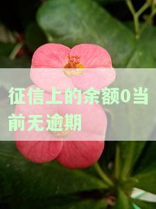 征信余额0什么意思？详解其含义与影响