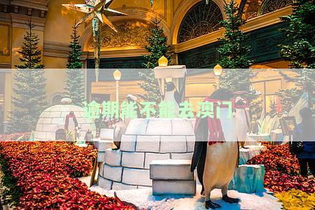 逾期能否在澳门接种疫？