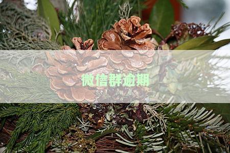 微信群过期了怎么办，微信群过期了？别担心，这里有解决办法！