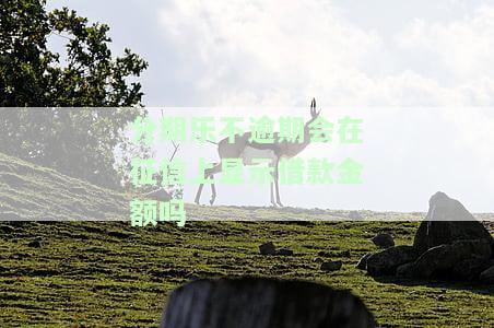 分期乐不逾期会显示借款金额在征信上吗？安全吗？对贷款有影响吗？